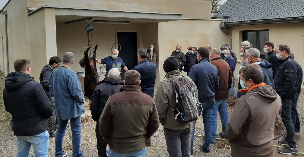 Une formation pour chercher la petite bête dans la viande gibier