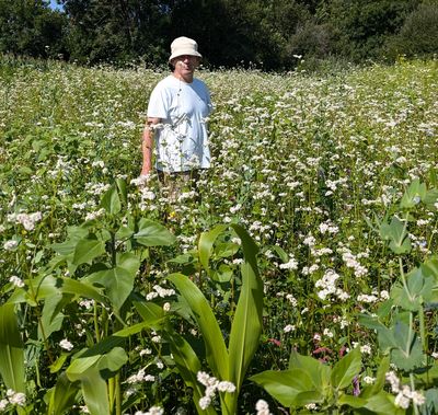 Melsem à Thérondels