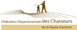 Logo FDC31