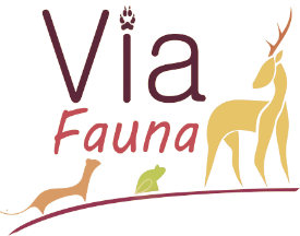 Logo Via Fauna