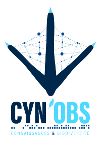 Logo CynObs