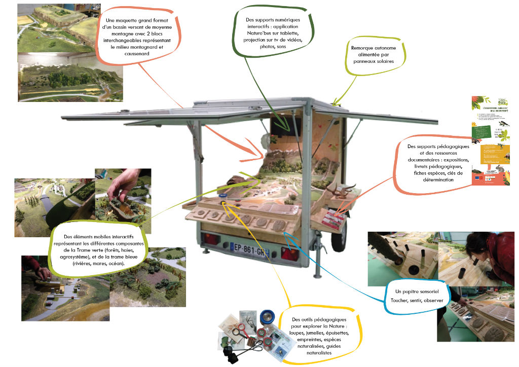 Illustration Naturo'Bus