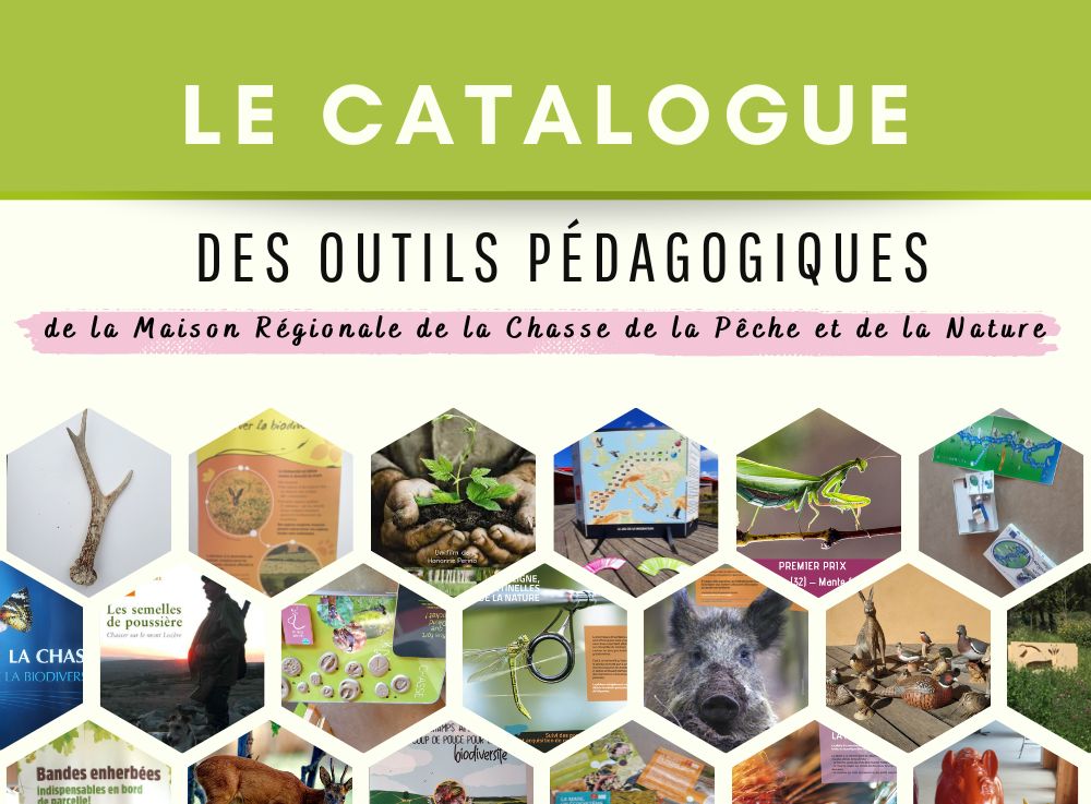 Catalogue des outils pédagogiques