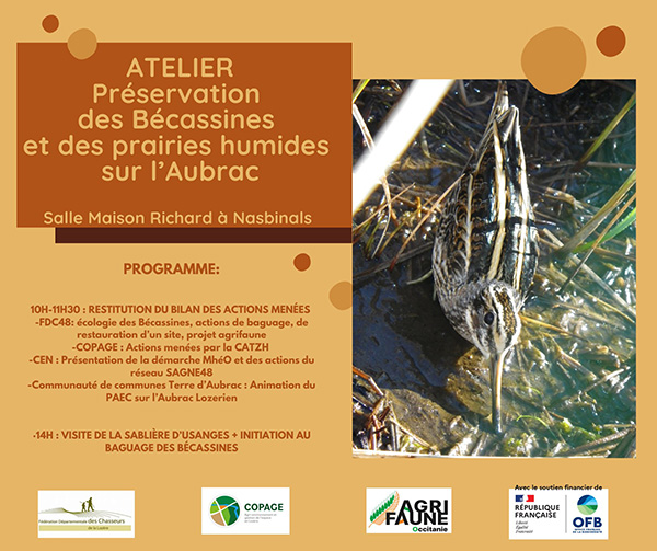 Atelier préservation des bécassines et des prairies humides sur l'Aubrac