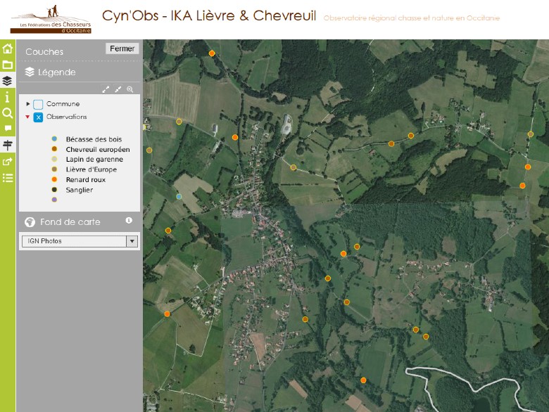 Cyn'Obs : Lièvres, Chevreuils, ça compte en Occitanie !