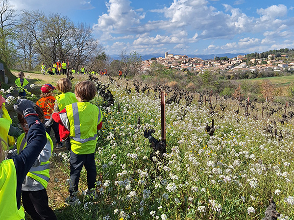 Chantier Corneilhan (34) le 15.03.24