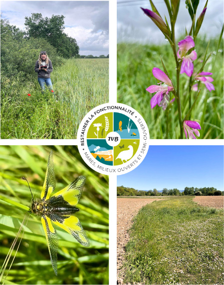 Diagnostic des bordures de champs sur 14 exploitations agricoles