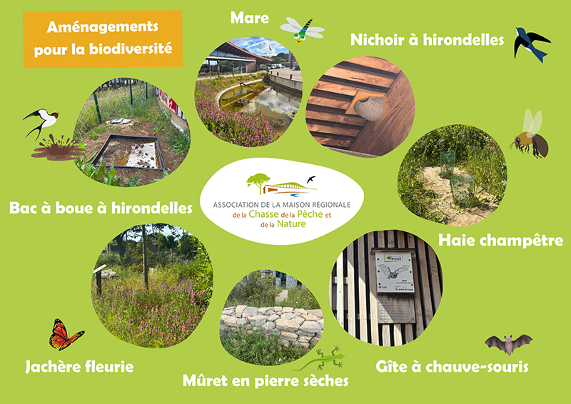 Amenagement biodiversite mrcpn
