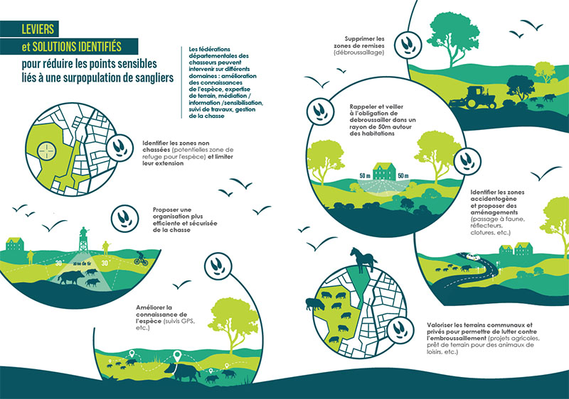 Oc Sanglier : Une nouvelle phase d'expertise