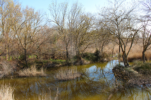 Révision de plans de gestion sites du réseau d'espaces  protégés par les chasseurs