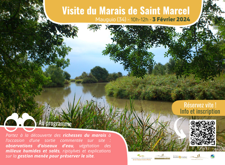 Venez visiter le Marais de Saint Marcel - 3 février à Mauguio (34)