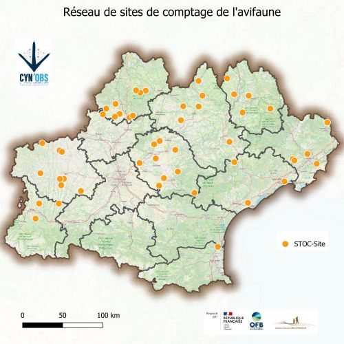 CynObs : En route vers la contribution aux programmes nationaux de suivi de l'avifaune