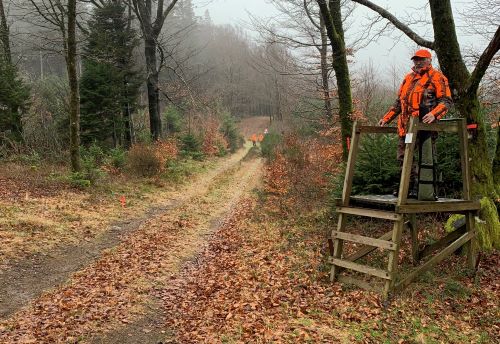 ASAPT Sécurité en battue ASAPT Sécurité en battue