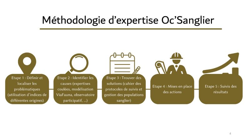 Boite à outils Oc Sanglier Boite à outils Oc Sanglier