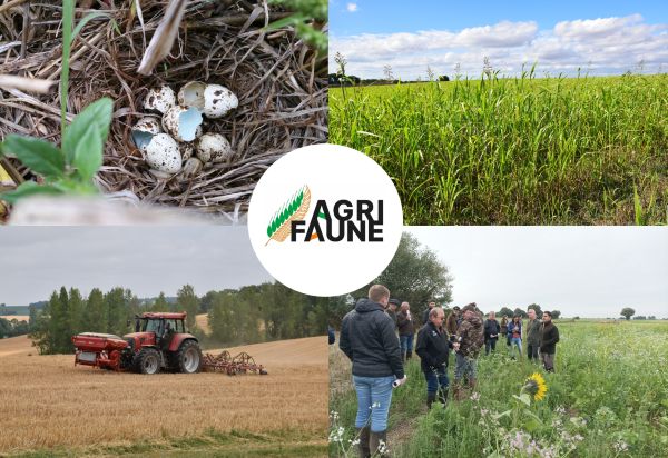 Interculture : c’est le bon moment pour agir en faveur de la biodiversité !