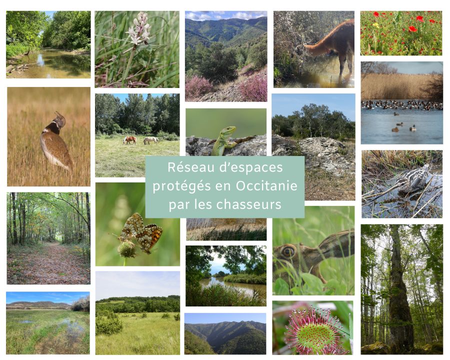 Les chasseurs proposent de s’inscrire dans la stratégie aires protégées