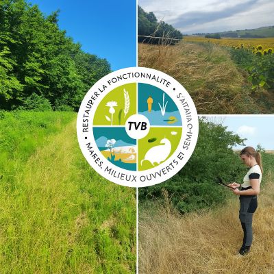 TVB : un outil de diagnostic pour la restauration des bordures de champs