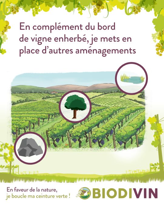 Viticulture & Biodiversité : des aménagements simples qui font la différence !