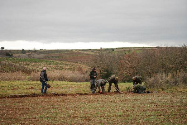 Des chantiers participatifs de plantations de haies, restaurons la trame ensemble