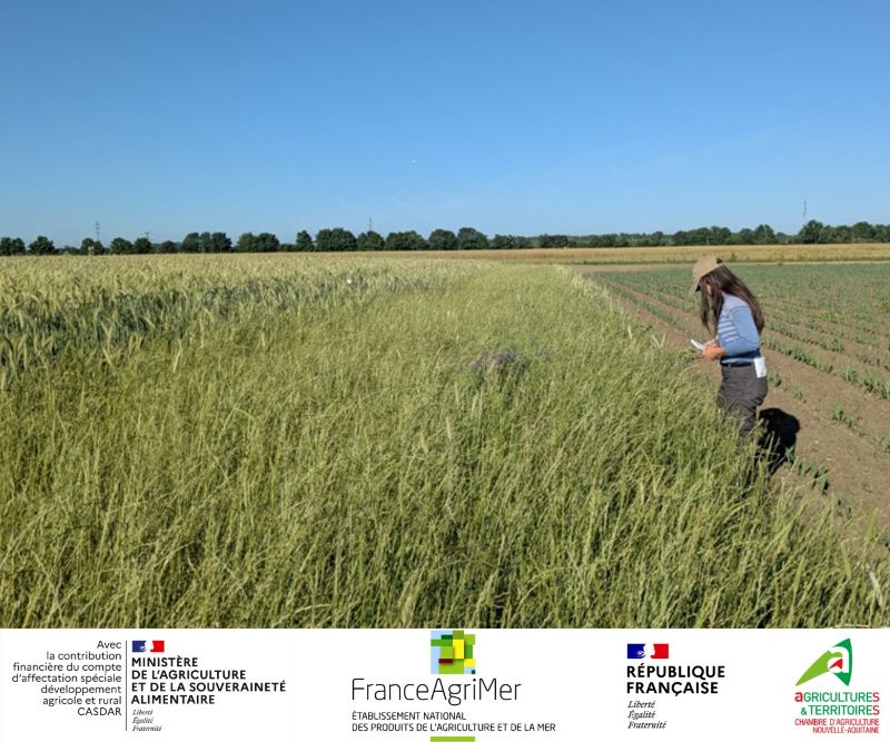 Projet DEBORA : les relevés de terrain en cours dans les plaines et collines du Midi-Pyrénéen