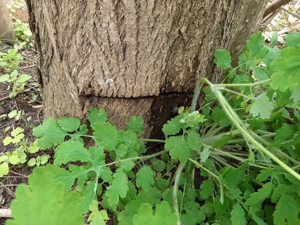 Agir pour préserver nos milieux naturels !