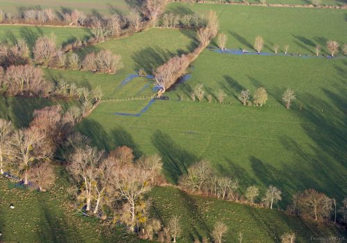 Grain bocager / Via Fauna : Une lecture croisée des enjeux du maintien des continuités écoligiques 