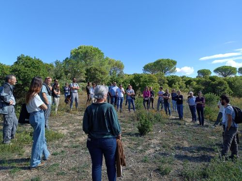 Journée technique sur les ouvertures de milieux en zones méditerranéennes et montagnardes