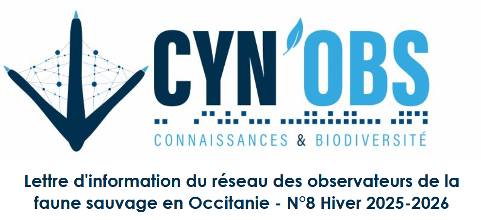 Lettre info Vigifaune