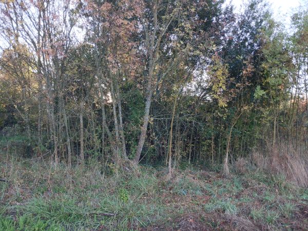 Série : Une mare restaurée, un territoire valorisé