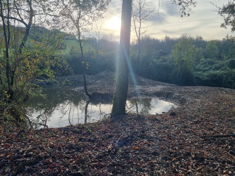 Petits milieux humides, grands services : restaurer les mares pour la biodiversité et l’eau