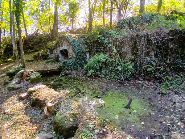 Série : Une mare restaurée, un territoire valorisé