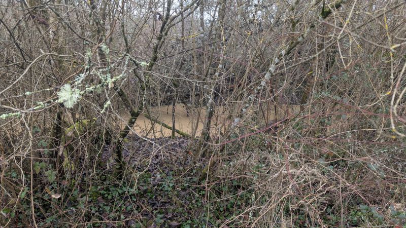 Série : Une mare restaurée, un territoire valorisé