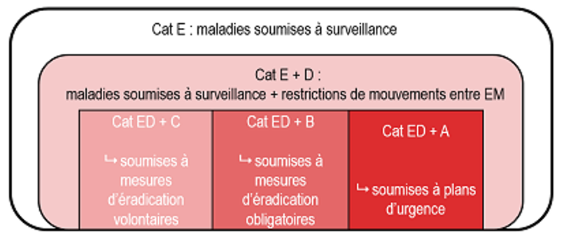 Ensemble des combinaisons de catégories possibles pour les maladies animales listées par la LSA