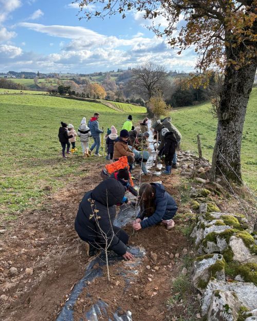 Des chantiers participatifs de plantations de haies, restaurons la trame ensemble