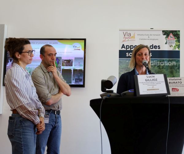 Réduire les collisions faune-train en Occitanie : une démarche collective et innovante