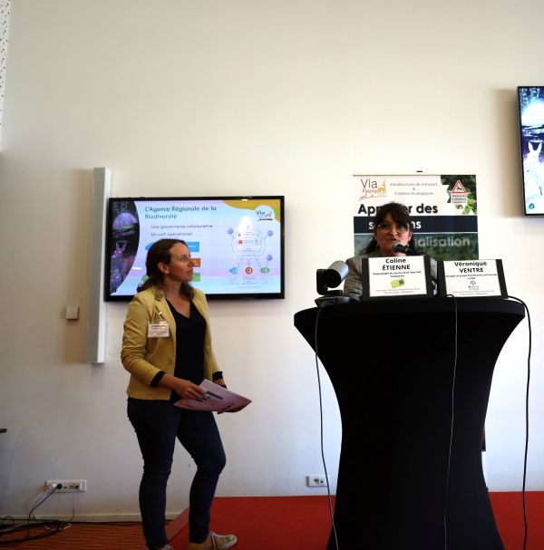 Série de portraits “mon expérience Via Fauna”