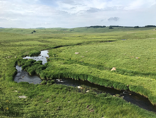 AGRIFAUNE48 : Tournage d'une vidéo sur la préservation des prairies humides de l'Aubrac en Lozère