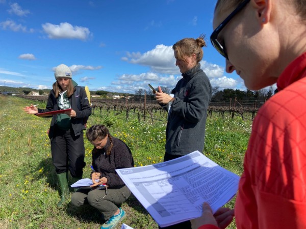 Biodivin en action !