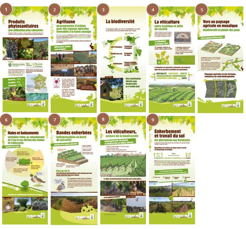 Viticulture & Biodiversité : outils disponibles et gratuits pour sensibiliser sur vos territoires