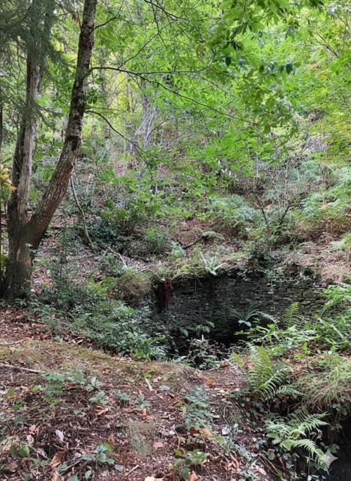 Série : Une mare restaurée, un territoire valorisé
