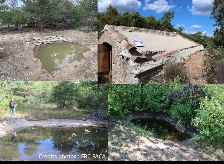 TVB - Etude des points d’eau aménagés par les chasseurs