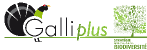 Logo Galliplus Logo Galliplus