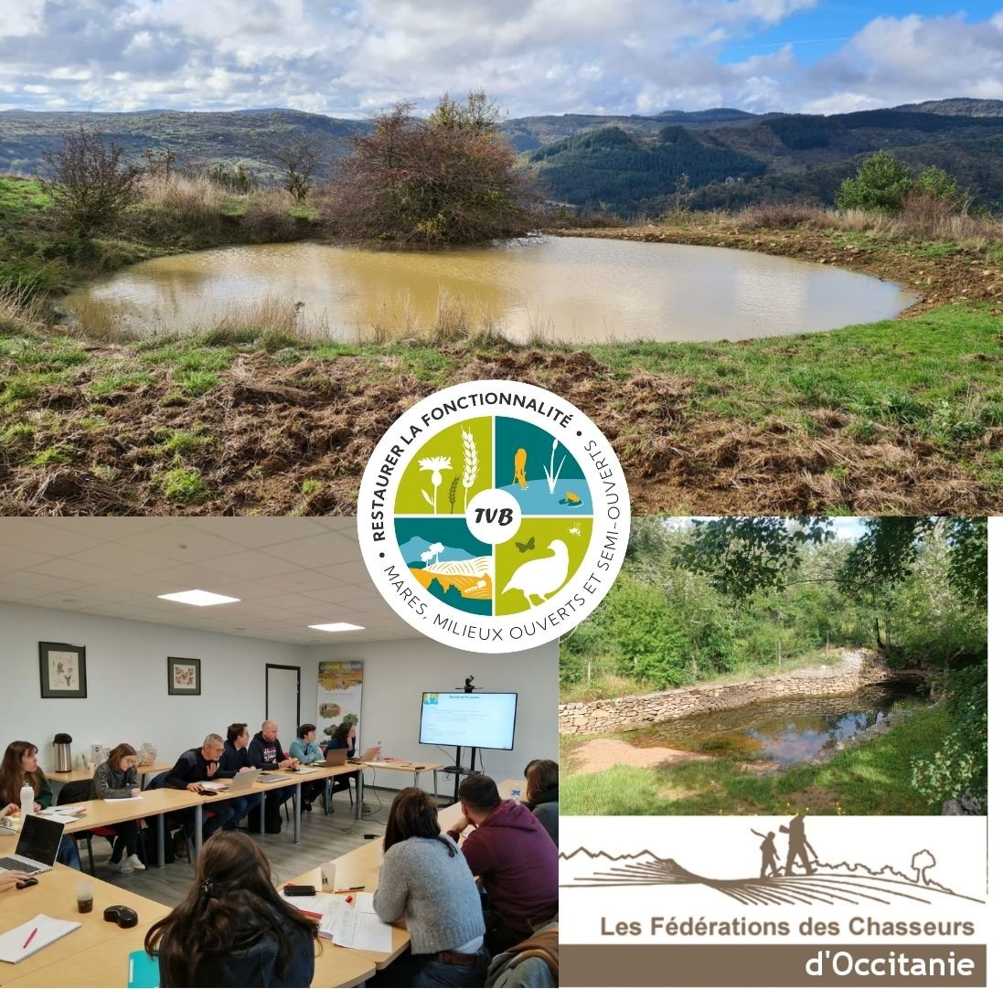 TVB : Les Fédérations des chasseurs au service de la restauration des mares !