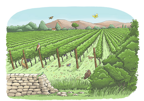 C’est parti pour Biodivin 2 !