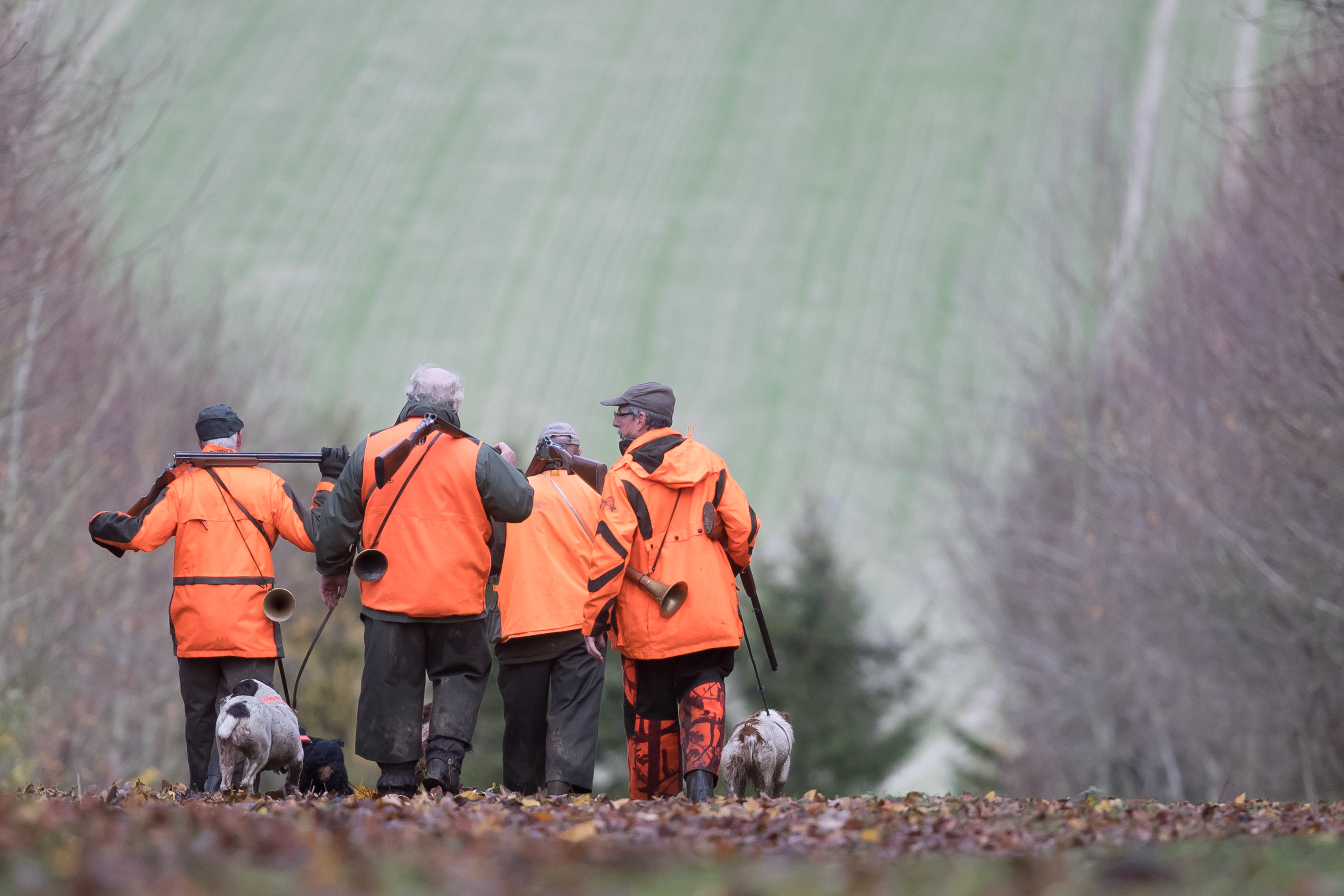 Assurances chasse