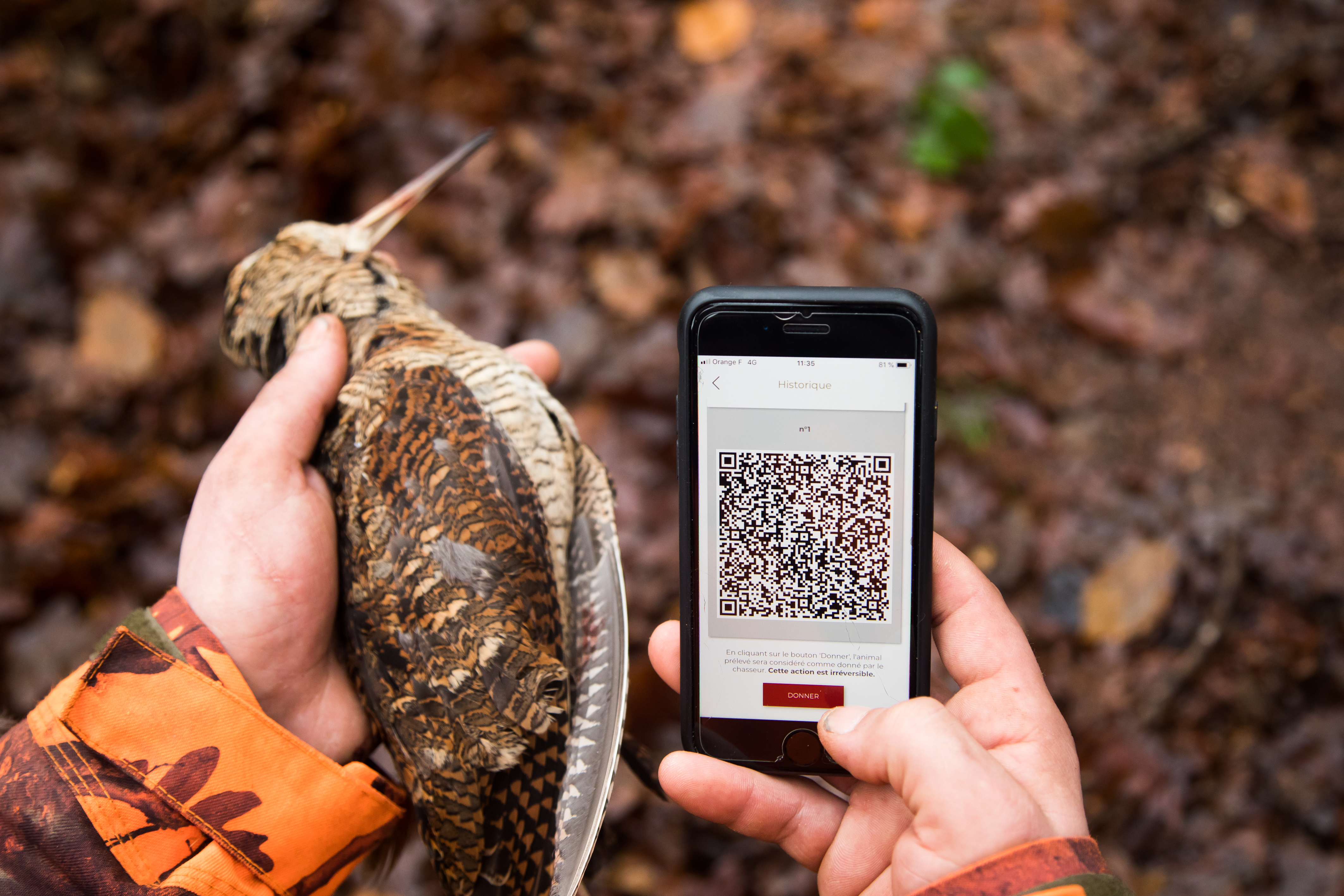 ChassAdapt : un outil incontournable pour une chasse durable