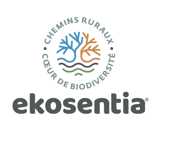 Des chemins ruraux rouverts 