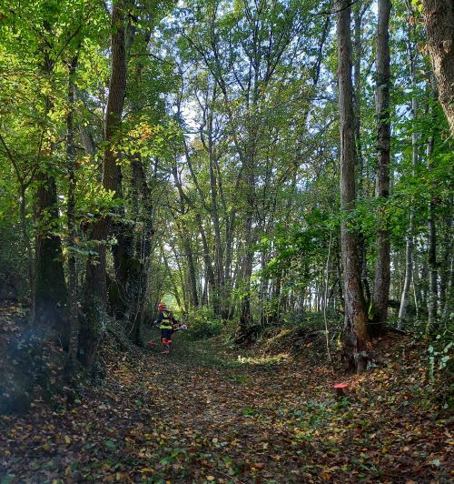 Les élèves du lycée de Riscle participent à la réhabilitation d'un chemin rural ! 