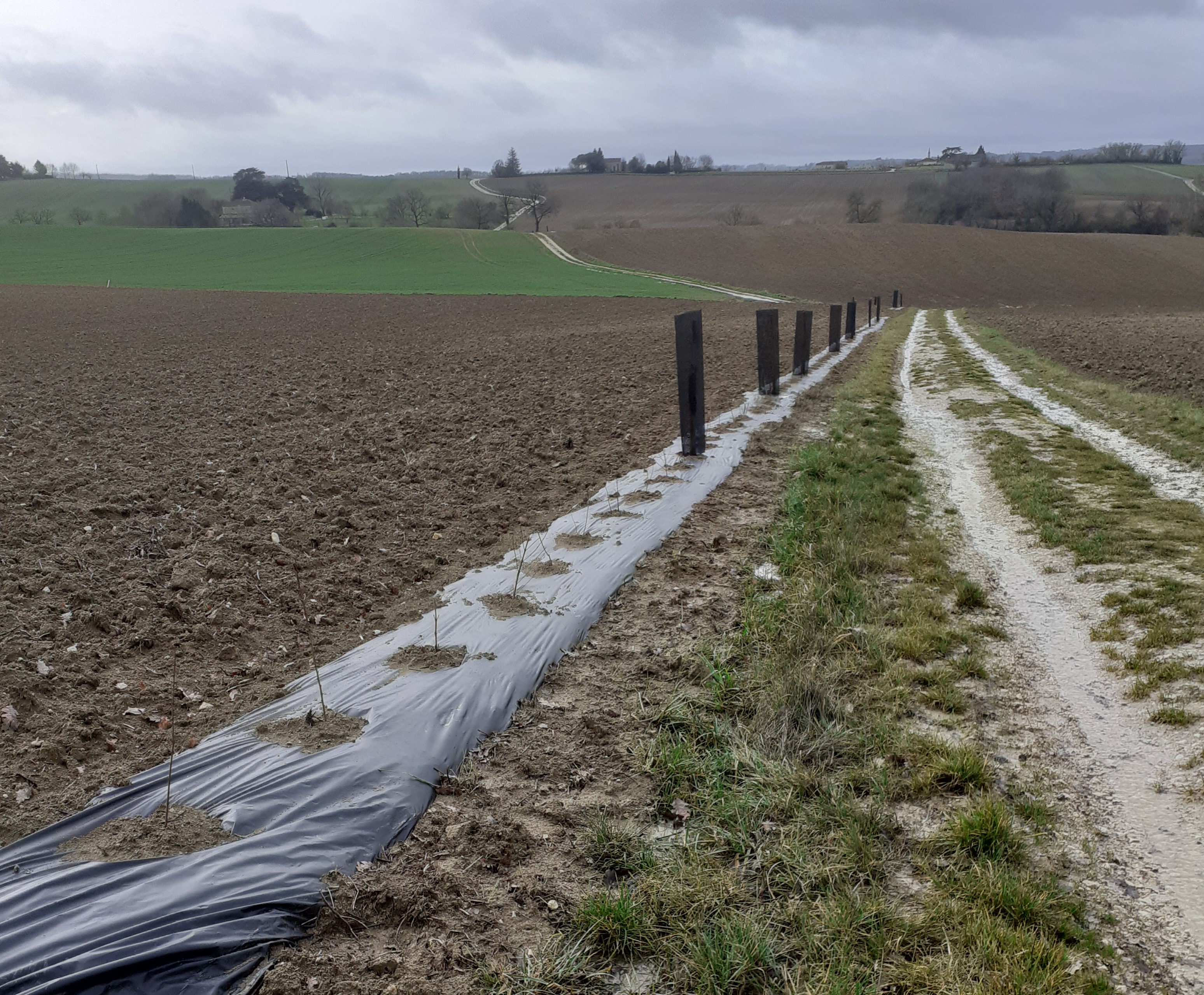 Appel à projet plantations de haies sur le territoire de la CCGT !  