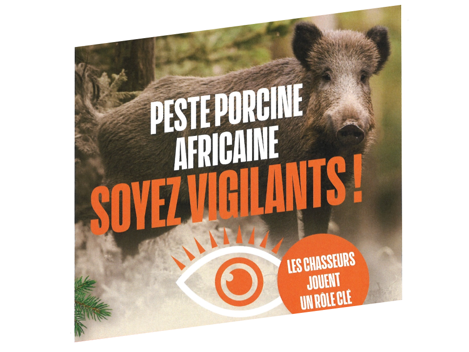 Peste Porcine Africaine (PPA) : point de situation ! 